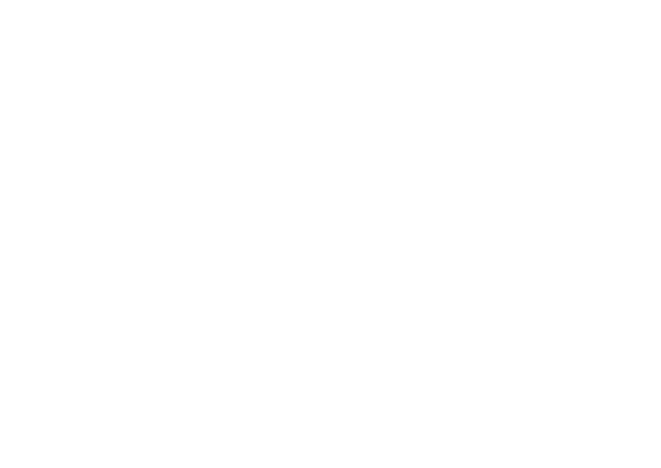 韓国セルダム肌管理｜k.cellderm インセルダムプランナー